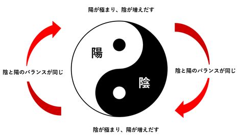 陰陽理論|「陰陽論」の真の意味…大切なのは二者択一ではなく。